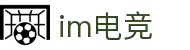 im电竞·(中国)电子竞技平台