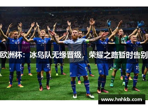 欧洲杯：冰岛队无缘晋级，荣耀之路暂时告别