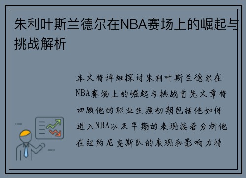 朱利叶斯兰德尔在NBA赛场上的崛起与挑战解析